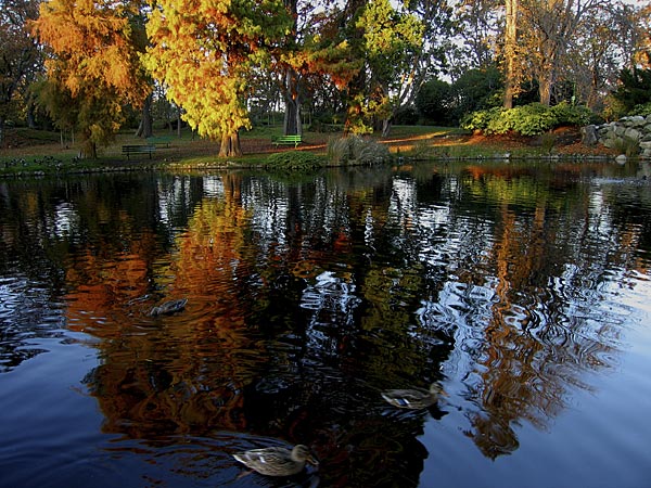 Beacon Hill Park, 11 of 15