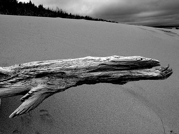 Haida Gwaii, 10 of 13