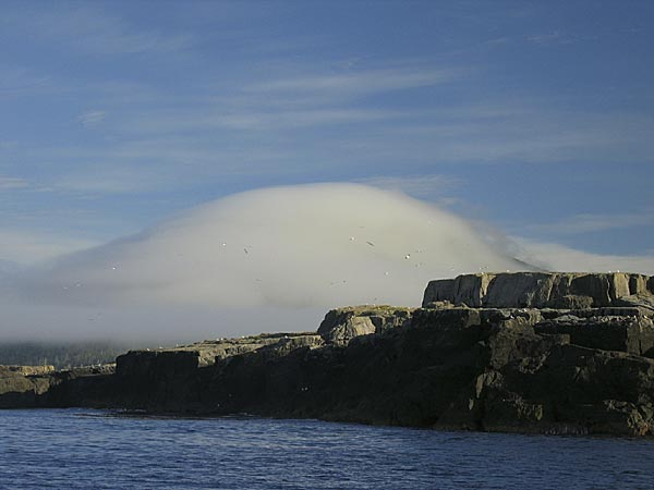 Haida Gwaii, 11 of 13