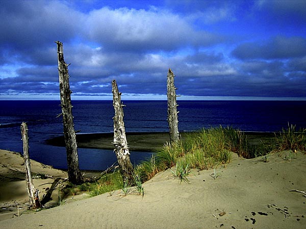 Haida Gwaii, 12 of 13