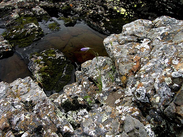 Lake Superior, 6 of 12